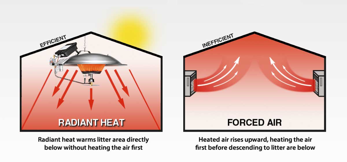 Radiant heat works like the sun, warming the animals and litter below it without warming the air first.