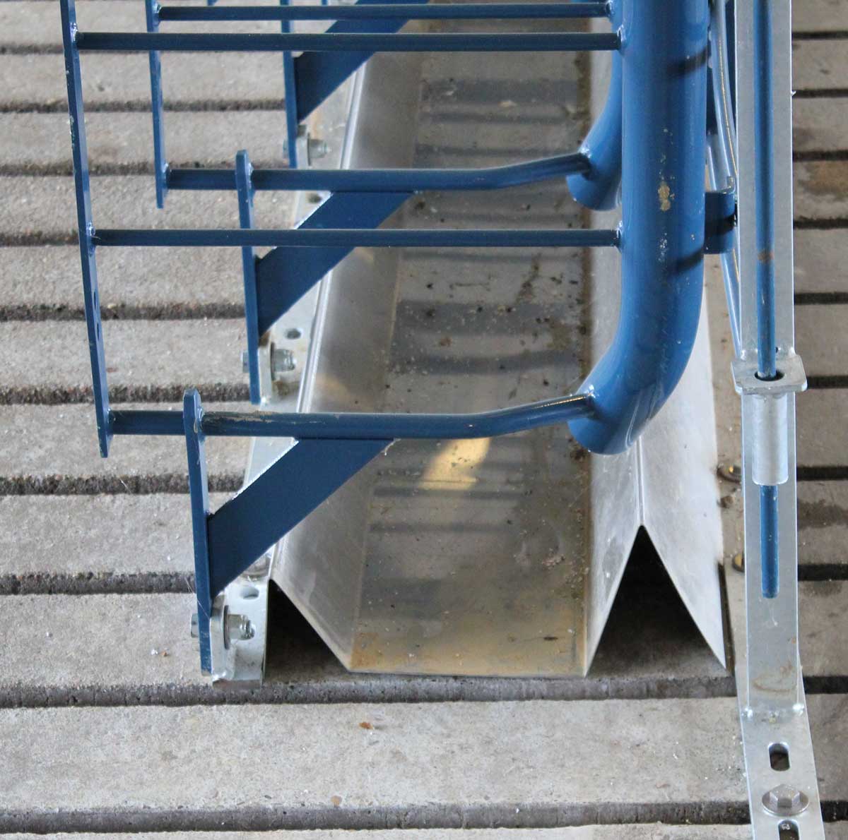 Hog Slat stainless steel gestation trough is quick and easy to install. Single trough, double bolt-down shown installed in a stanchion feeding layout.