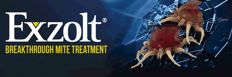 MSD Animal Health