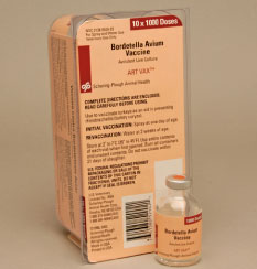 Artvax