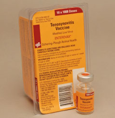 Enterovax