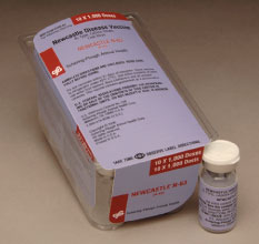 Newcastle Disease Vaccine N-63 from MSD Animal Health