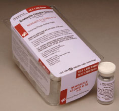 Newcastle Cloned N-79 from MSD Animal Health