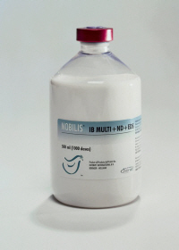 NOBILIS RT+IBMULTI+ND+EDS from MSD Animal Health