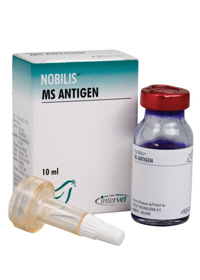 NOBILIS MS ANTIGEN from MSD Animal Health
