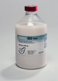 NOBILIS REO INAC from MSD Animal Health