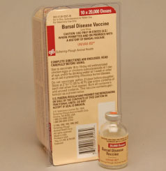 Univax-BD