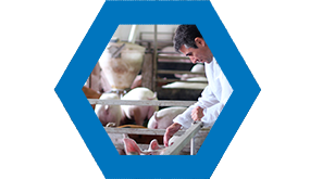 Nutriad Products - Palatability