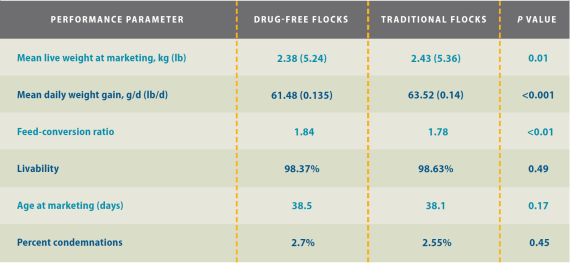 Figure 1. Performance results in drug-free and traditionally raised flocks