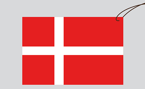Special Report - Can we learn from Denmark? - Issue 5