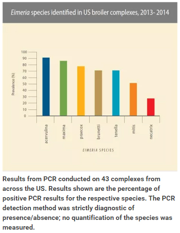 Poultry Health Today - Diagnostics