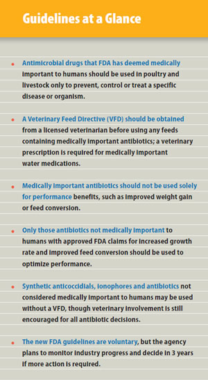 Guidelines at a Glance