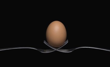 Poultry Health Today - Special Report