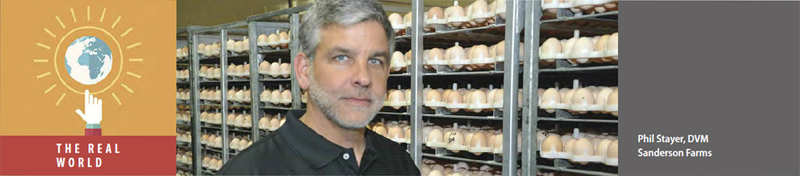 Sustainability is really nothing new for poultry