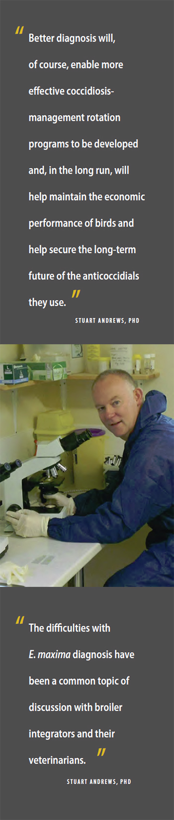 Diagnostics - Issue 3
