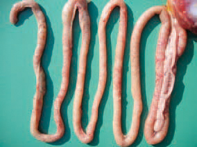354