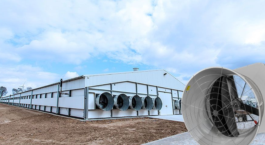 Poultry house with fans