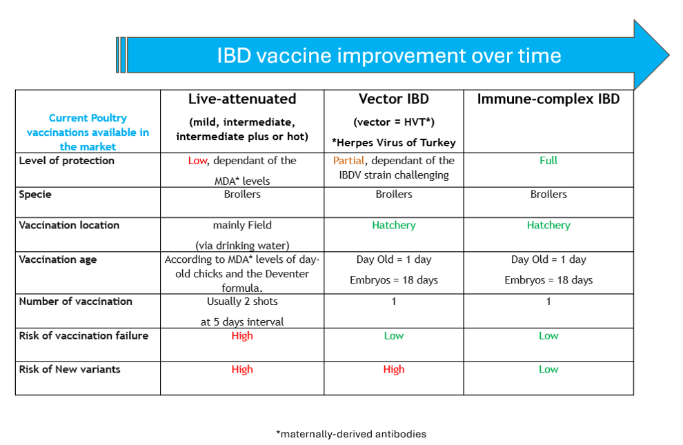 Fig.3. Infectious bursal disease vaccines improvement over time.
