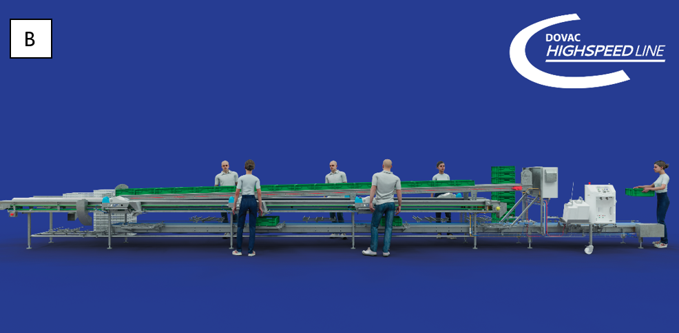 Fig.4. Hatchery poultry IBD vaccinations
