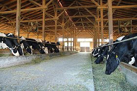 Iowa dairy margins tighten as inventories shrink and production increases
